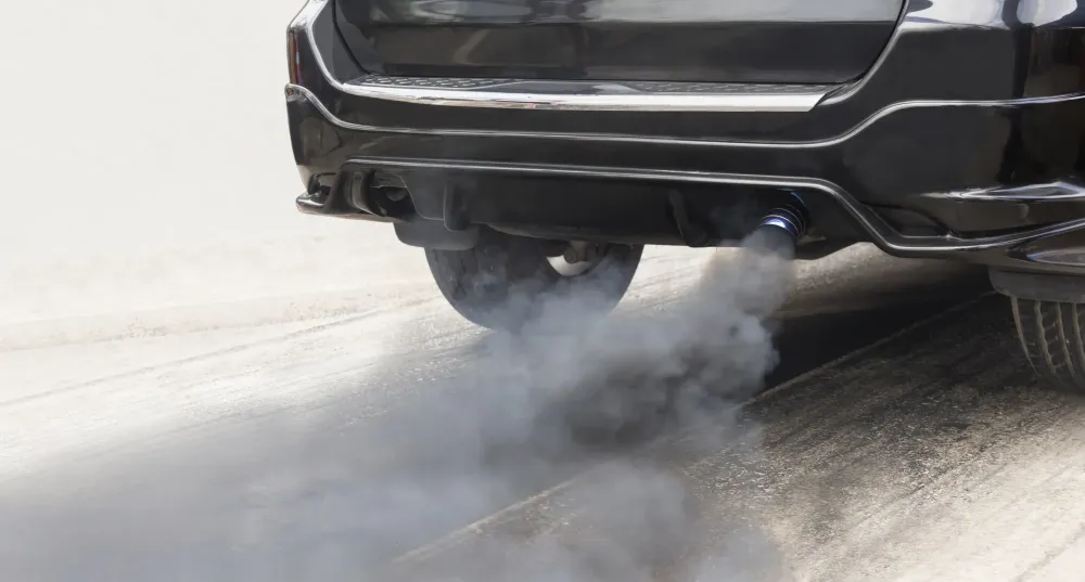 diagnostic pollution